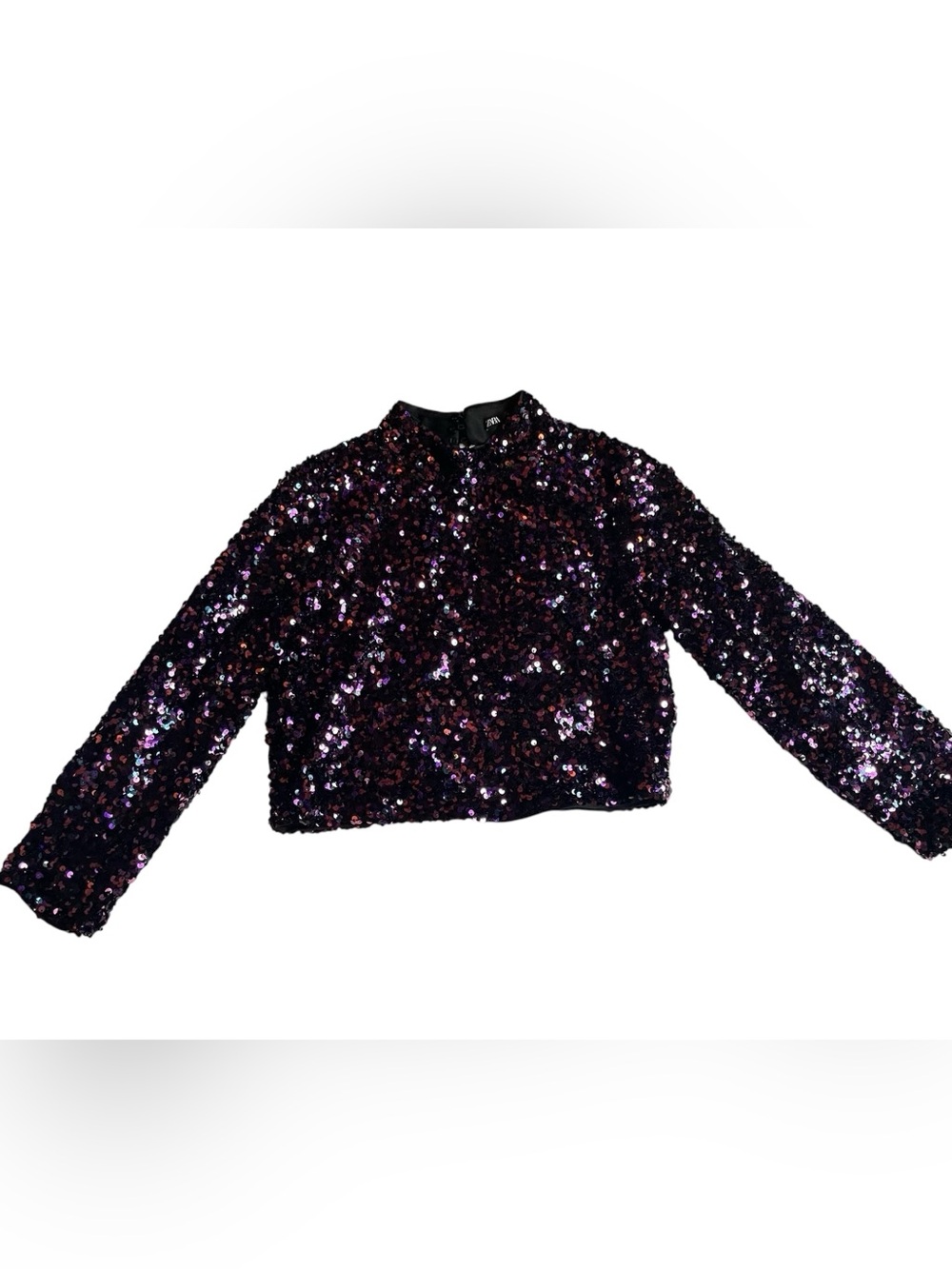 Zara Purple Sequin Cropped Top